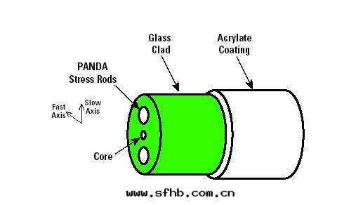 光(guāng)纖刨面(miàn)结構.jpg 光(guāng)纖刨面(miàn)结構.jpg